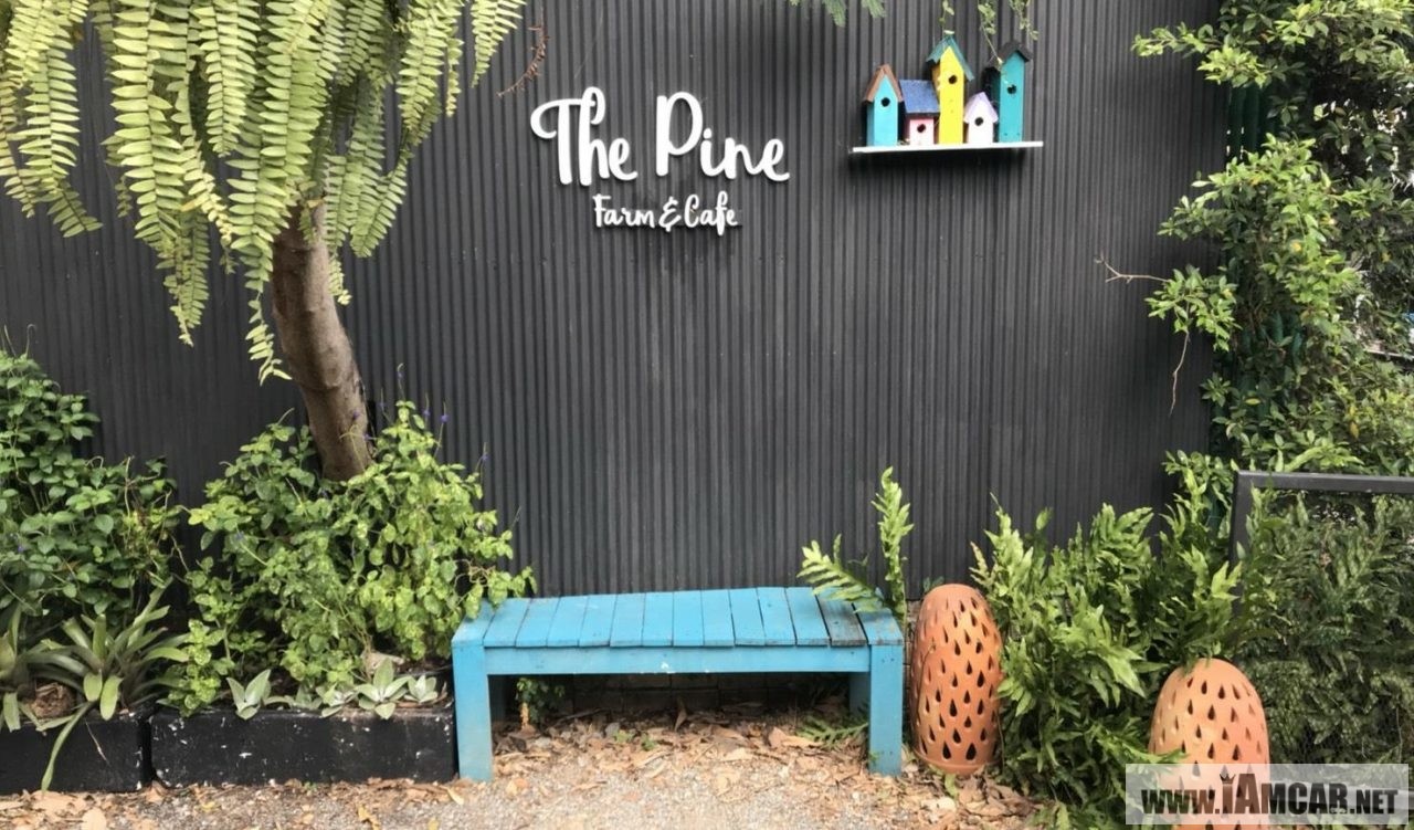 ตลาดตลองลัดมะยม :The pine farm&cafe