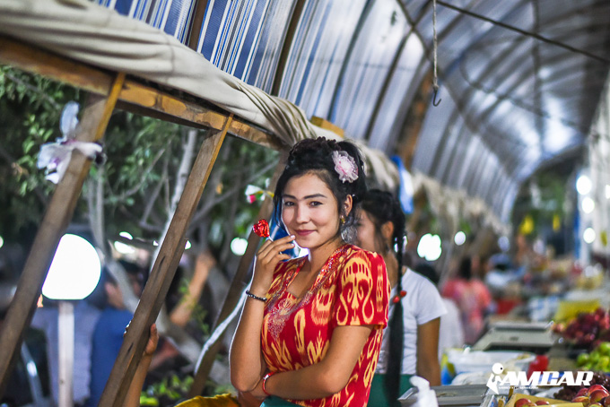 Hilux Revo Caravan Trip