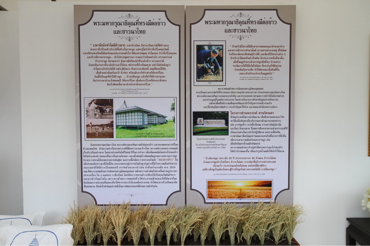 โตโยต้า มอเตอร์ส 5