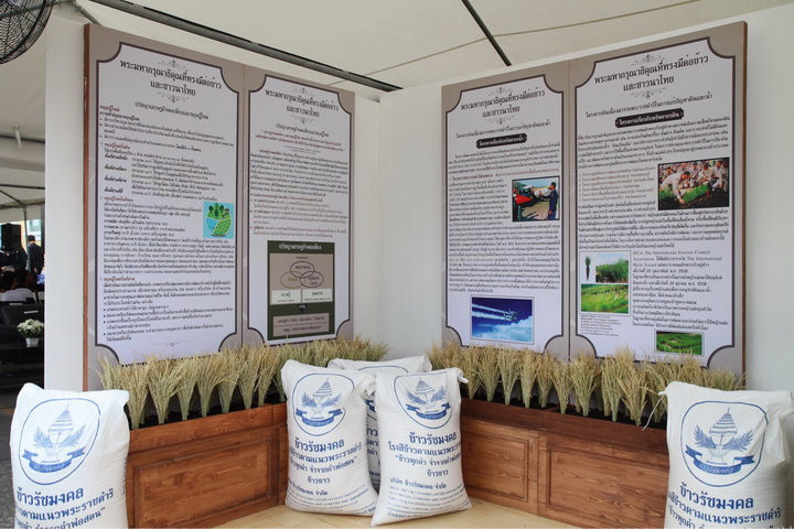 โตโยต้า มอเตอร์ส 6