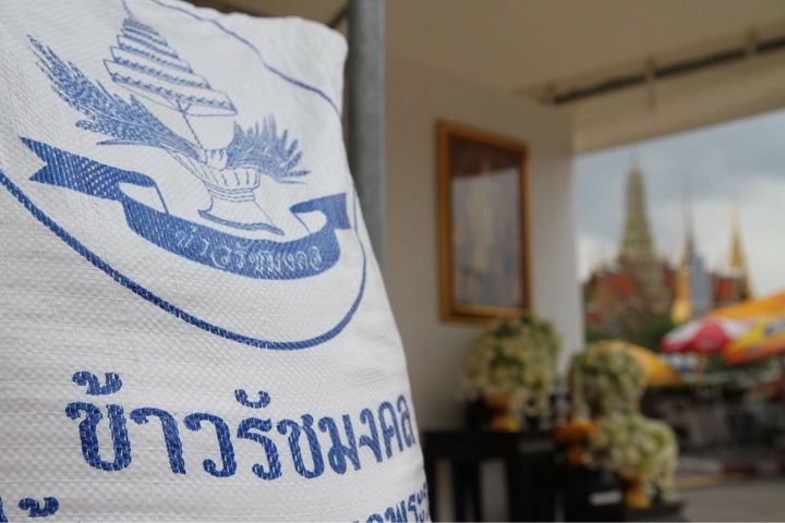 โตโยต้า มอเตอร์ส 7