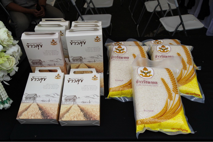 โตโยต้า มอเตอร์ส 8