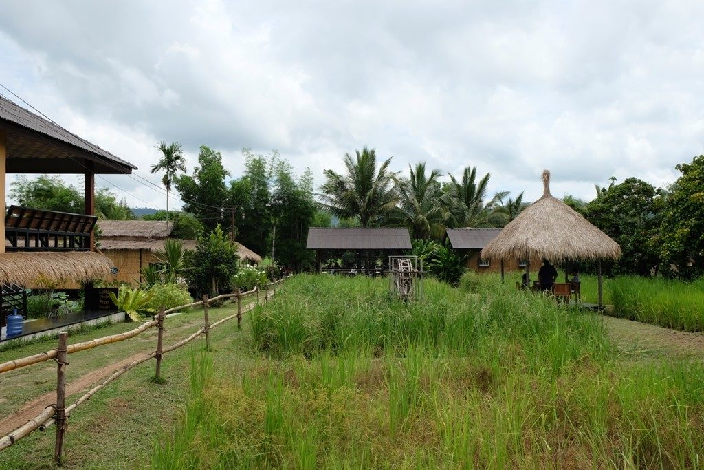 เขาใหญ่