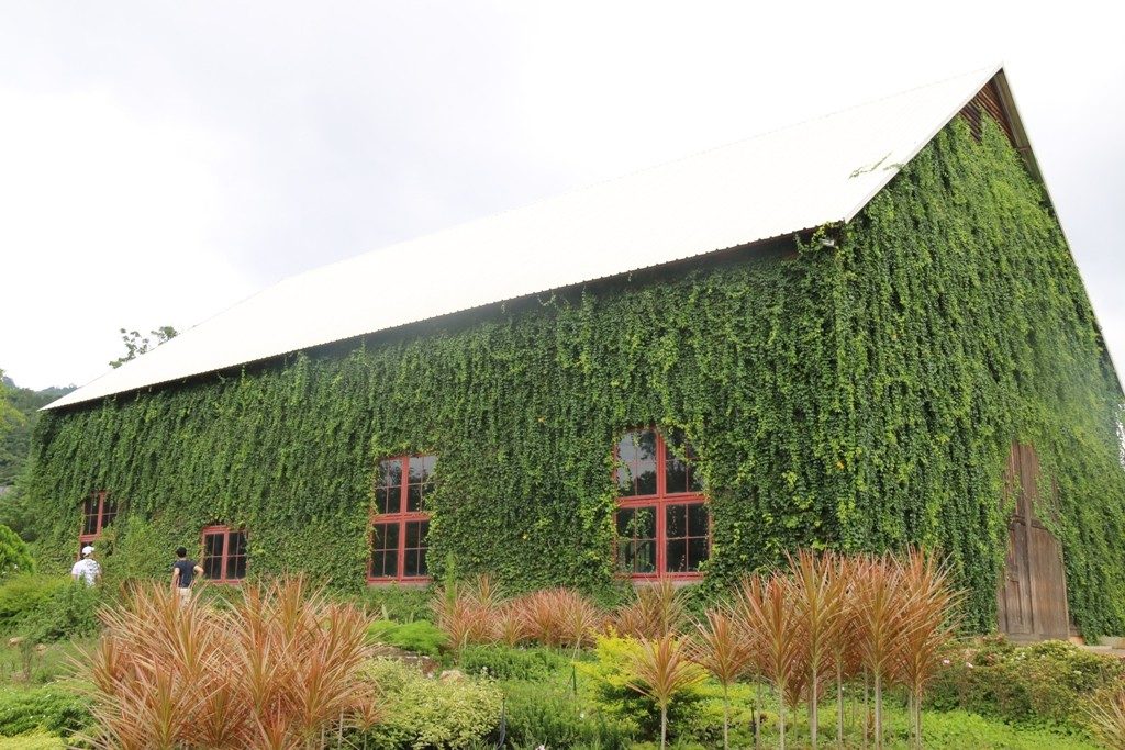 เขาใหญ่