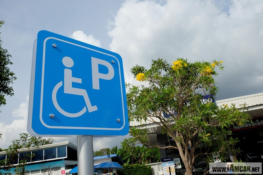 ซากุระเมืองไทย