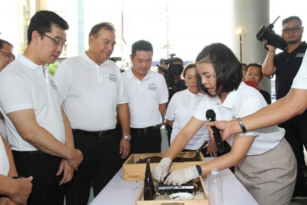 ดอกดาวเรือง