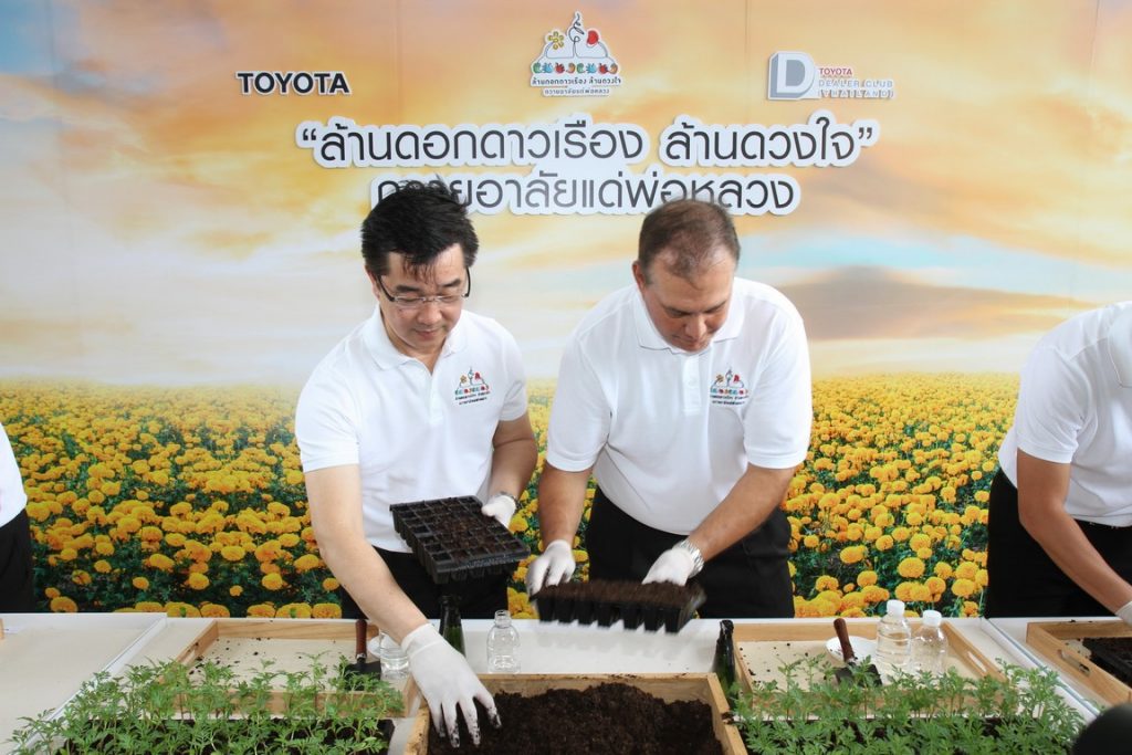 ดอกดาวเรือง