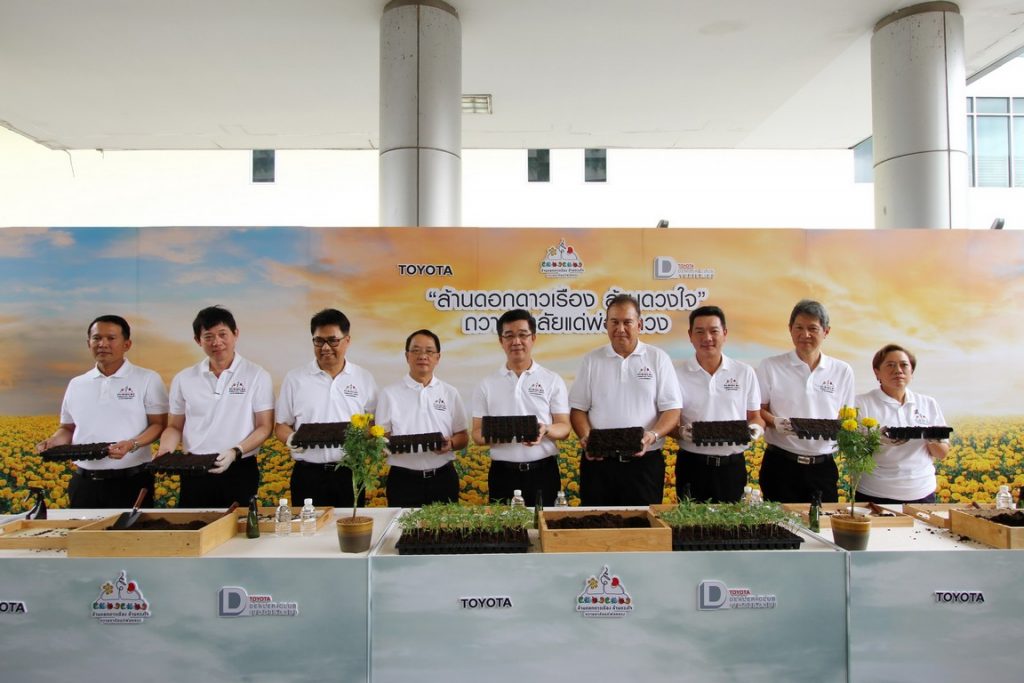 ดอกดาวเรือง