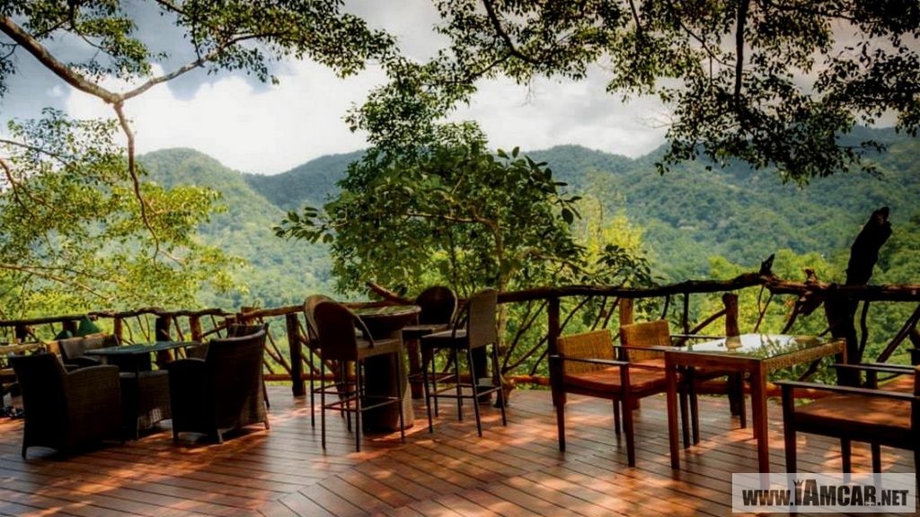 ร้านกาแฟเชียงใหม่ The Giant Chiangmai ร้านกาแฟบนต้นไม้ บ้านแม่กำปอง