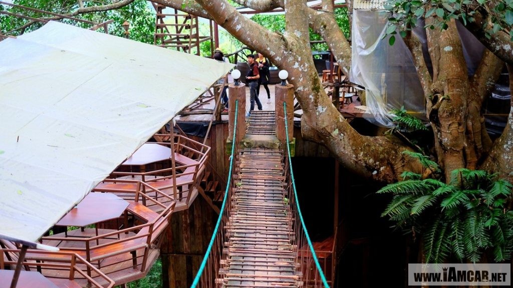 ร้านกาแฟเชียงใหม่ The Giant Chiangmai ร้านกาแฟบนต้นไม้ บ้านแม่กำปอง