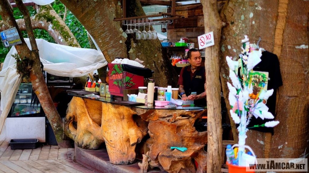 ร้านกาแฟเชียงใหม่ The Giant Chiangmai ร้านกาแฟบนต้นไม้ บ้านแม่กำปอง