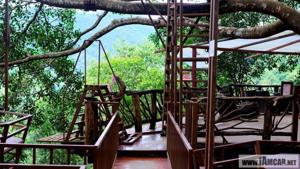 ร้านกาแฟเชียงใหม่ The Giant Chiangmai ร้านกาแฟบนต้นไม้ บ้านแม่กำปอง