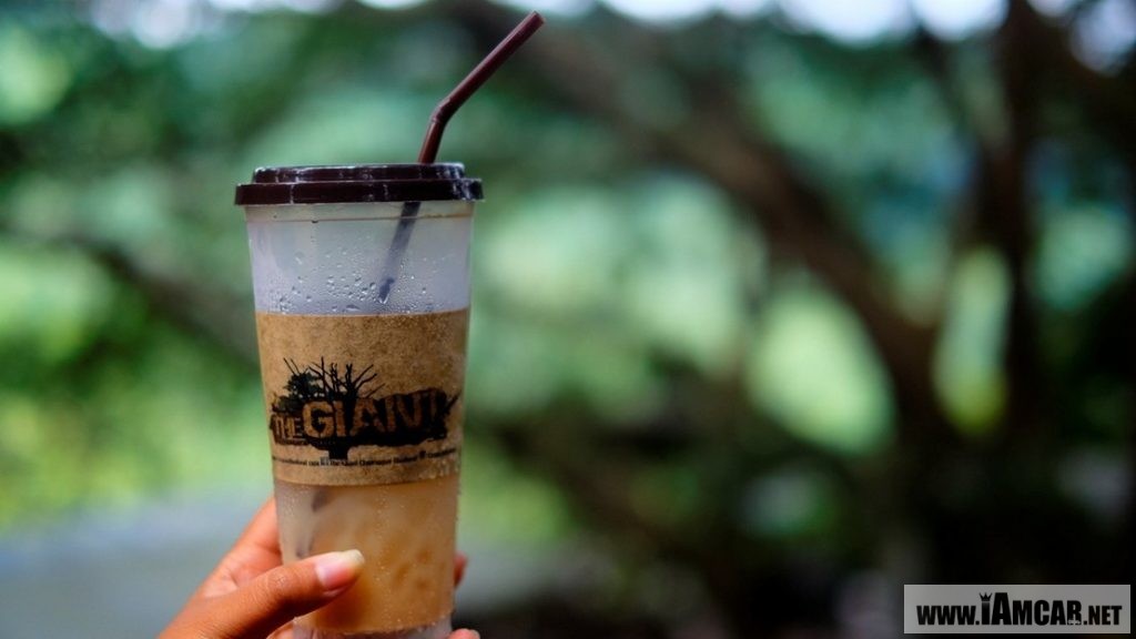 ร้านกาแฟเชียงใหม่ The Giant Chiangmai ร้านกาแฟบนต้นไม้ บ้านแม่กำปอง