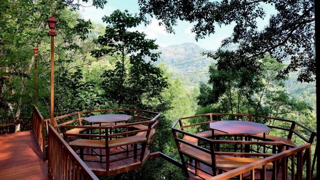 ร้านกาแฟเชียงใหม่ The Giant Chiangmai ร้านกาแฟบนต้นไม้ บ้านแม่กำปอง