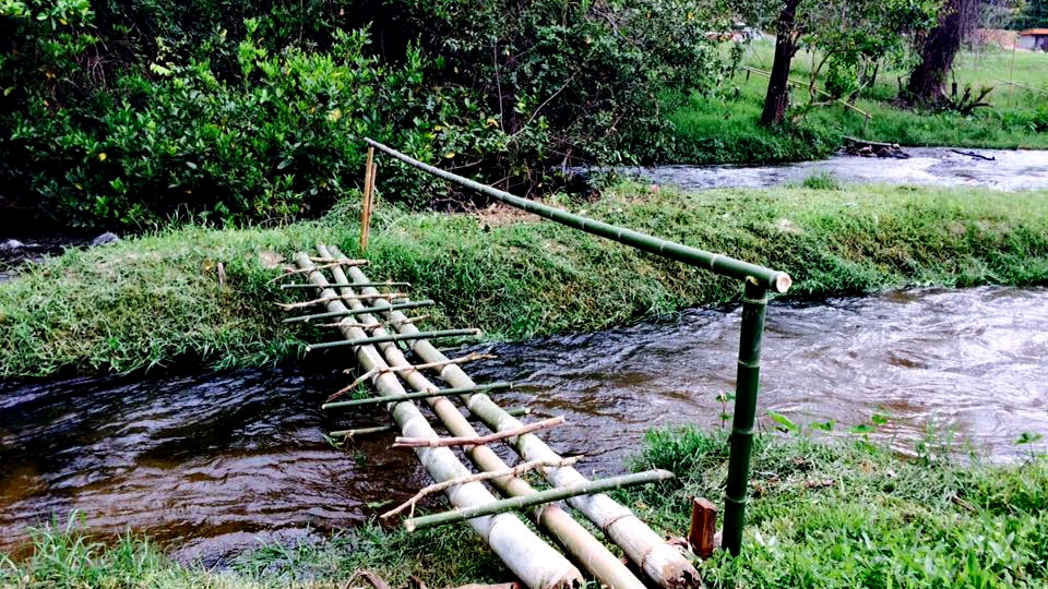 แม่กลางหลวงฮิลล์คอฟฟี่"บ้านแม่กลางหลวง ดอยอินทนนท์