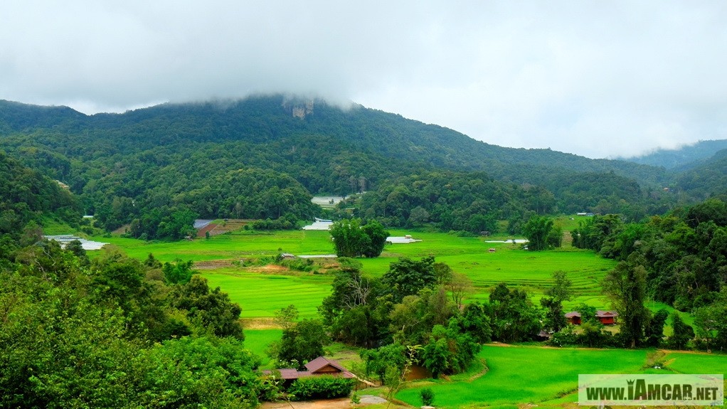 แม่กลางหลวงฮิลล์คอฟฟี่"บ้านแม่กลางหลวง ดอยอินทนนท์