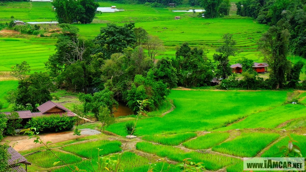 แม่กลางหลวงฮิลล์คอฟฟี่"บ้านแม่กลางหลวง ดอยอินทนนท์