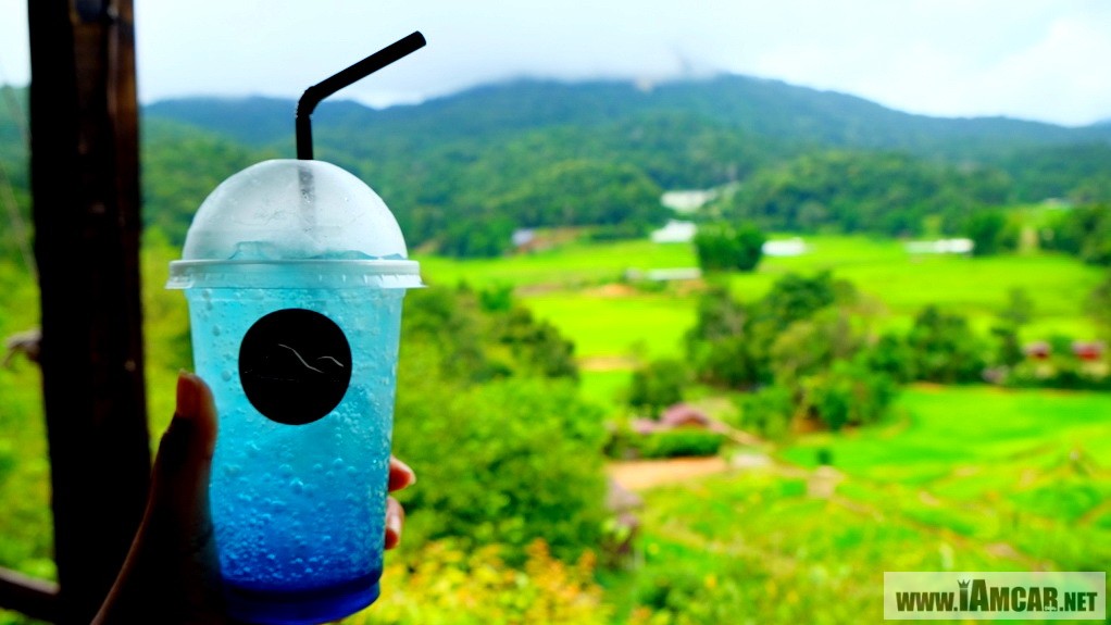 แม่กลางหลวงฮิลล์คอฟฟี่"บ้านแม่กลางหลวง ดอยอินทนนท์