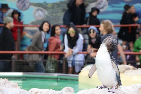 “อีซูซุไทยแลนด์มาสเตอร์ 2017”