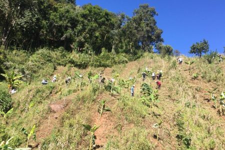 กองทุนฮอนด้าเคียงข้างไทย