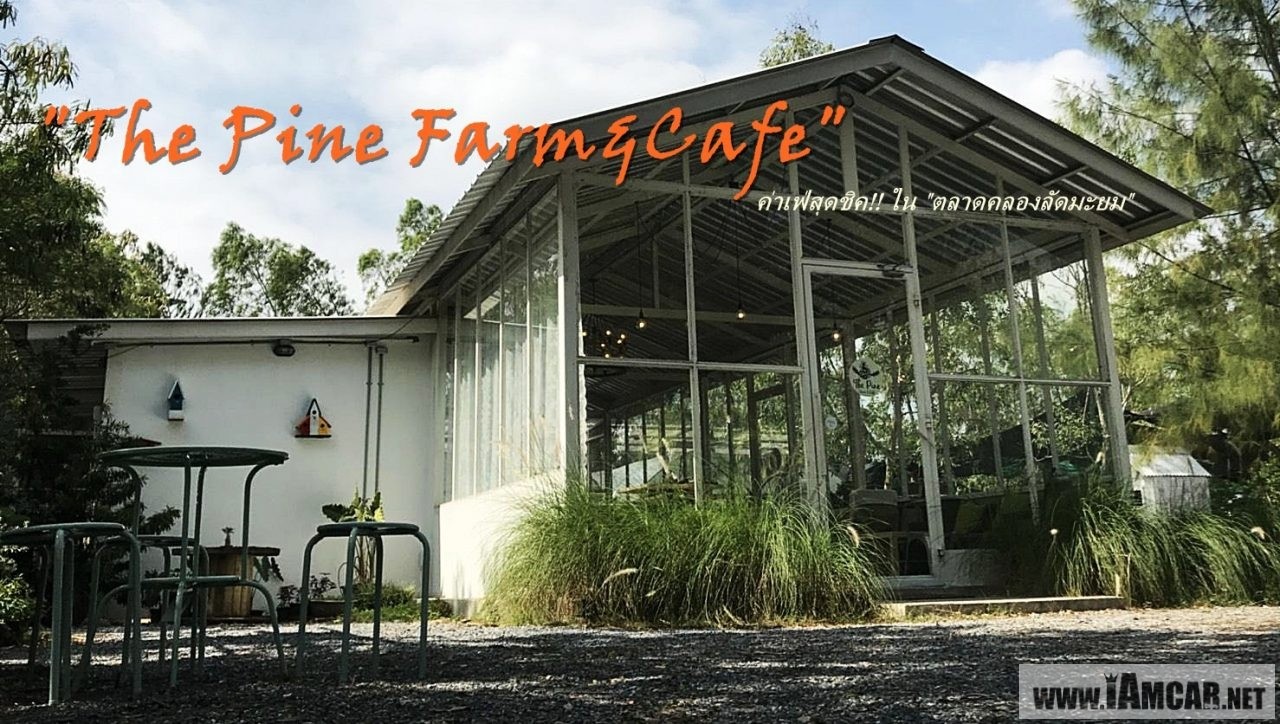 ตลาดคลองลัดมะยม:The Pine Farm&Cafe