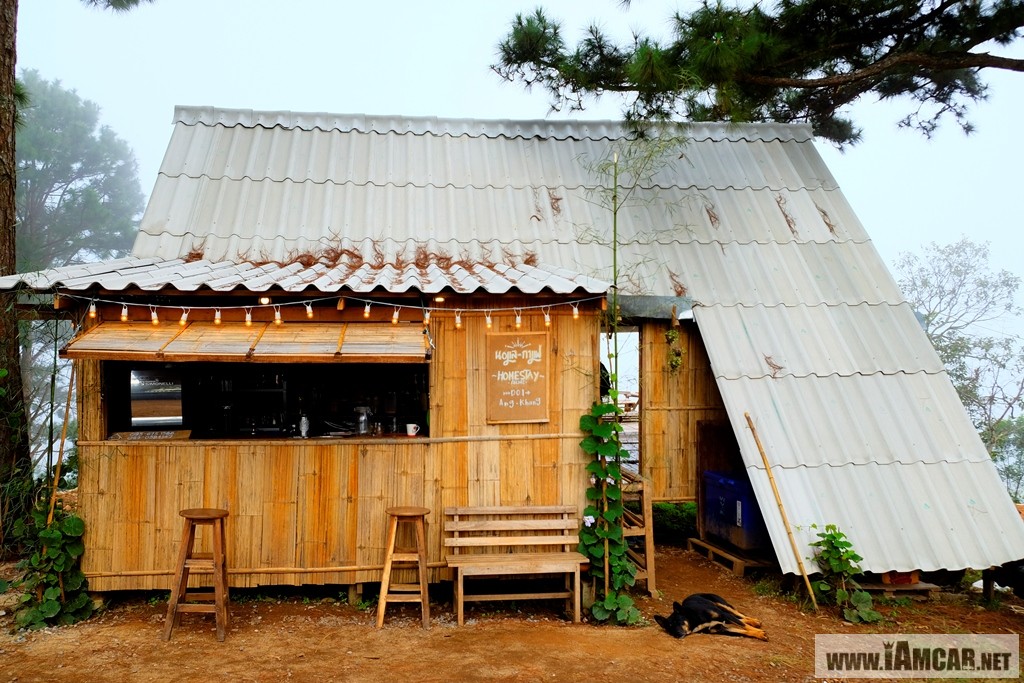 นอแลและกาแฟ