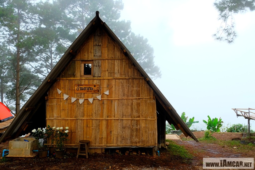 นอแลแและกาแฟ