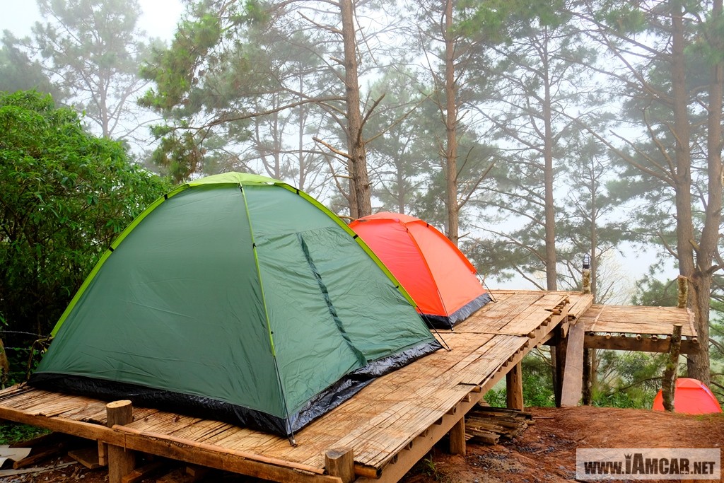 นอแลและกาแฟ