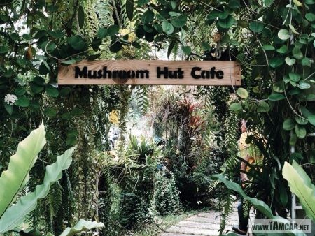"Mushroom Hut Cafe" 