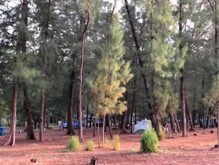 กางเต้นท์ริมทะเล "หาดวนกร" จ.ประจวบคีรีขันธ์