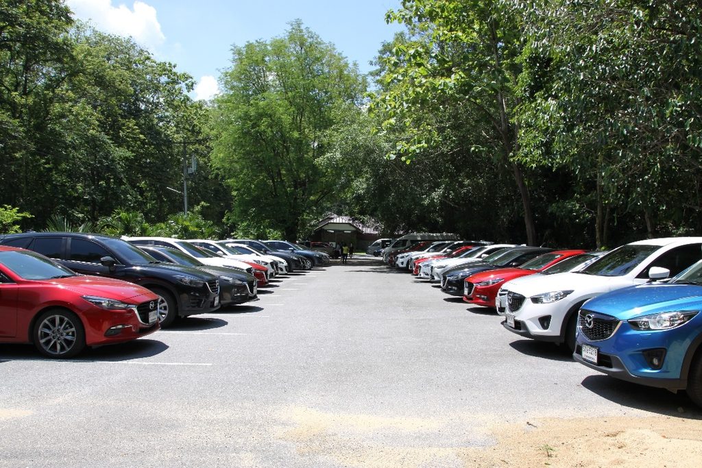 ONE MAZDA TEAM รวมตัวเป็นหนึ่งผนึกกำลังสร้างฝายชะลอน้ำ