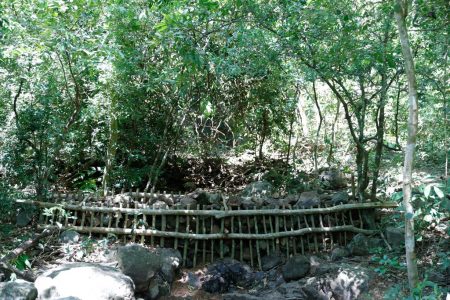 ONE MAZDA TEAM รวมตัวเป็นหนึ่งผนึกกำลังสร้างฝายชะลอน้ำ