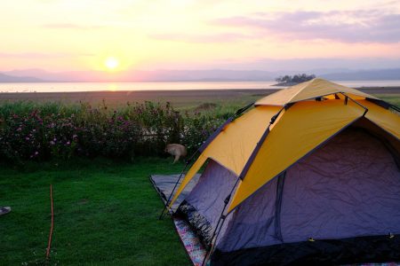 ไร่ชมอิน