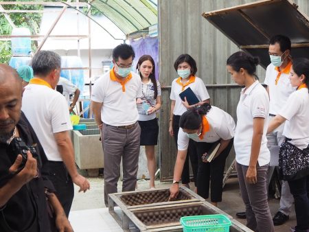 โตโยต้า ธุรกิจชุมชนพัฒน์